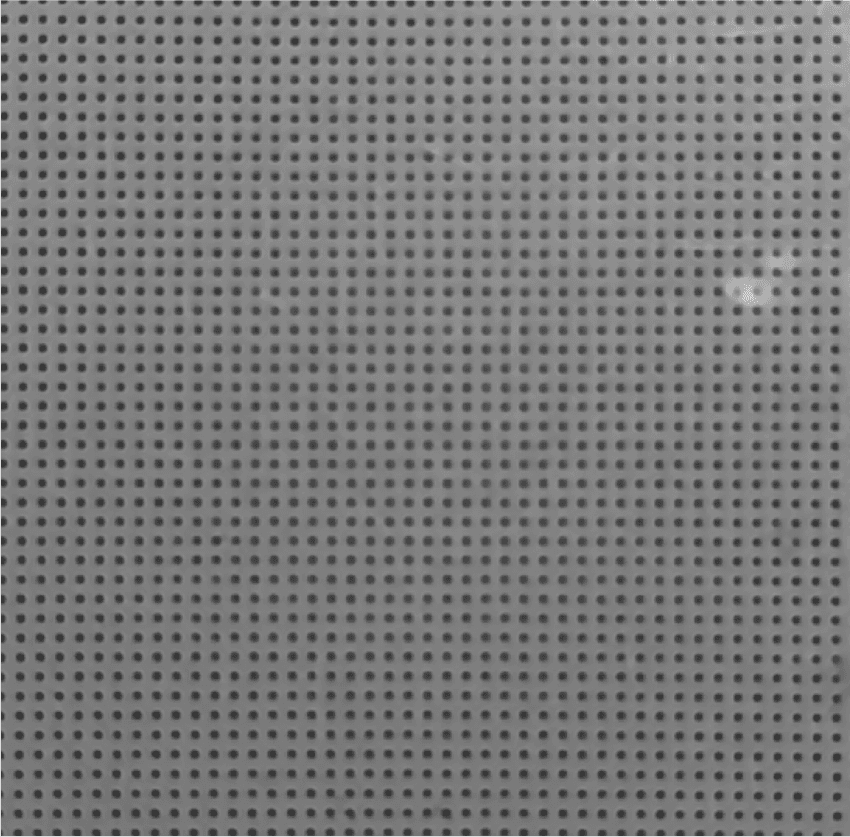 Raw dot-grid region used as the flat optical reference