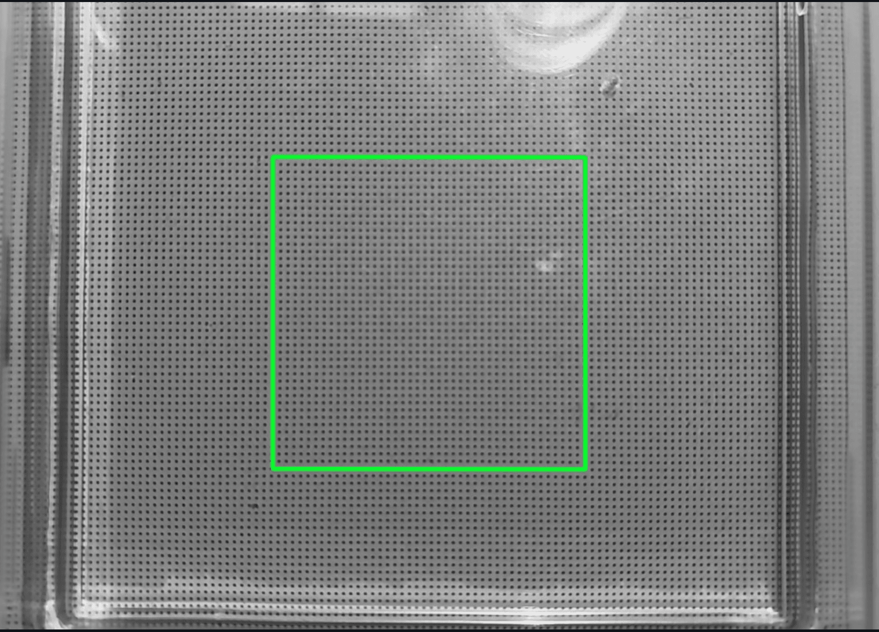 Flat-liquid dot-grid reference with the selected rectangular region of interest outlined in green