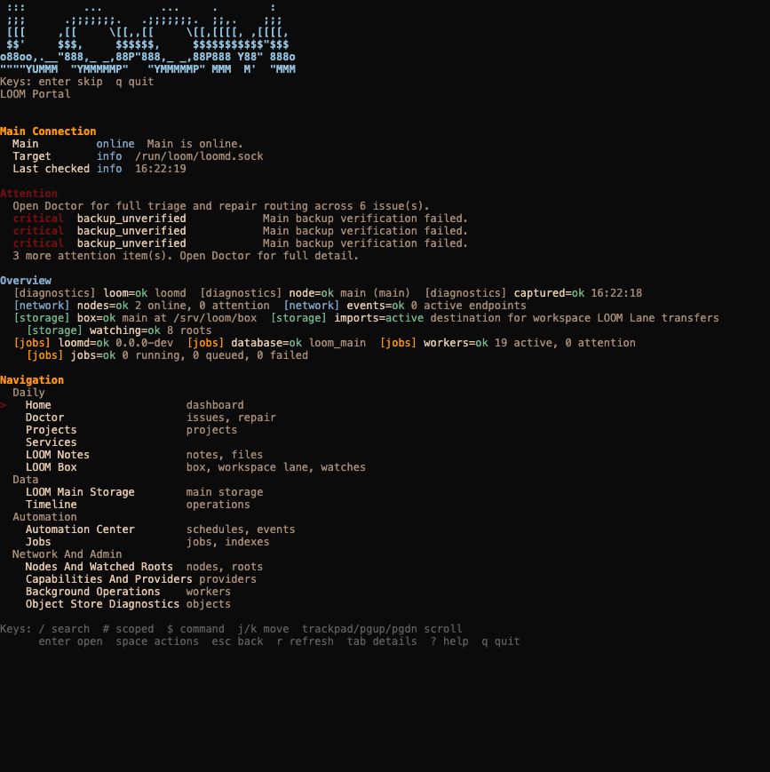 Full recorded LOOM Portal home screen, including status, attention findings and navigation.